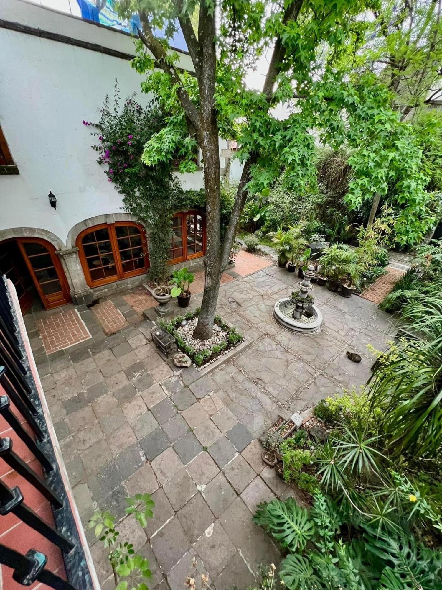 Boutique Hotel And Gallery In San Angel Inn Mexico City Luaran gambar